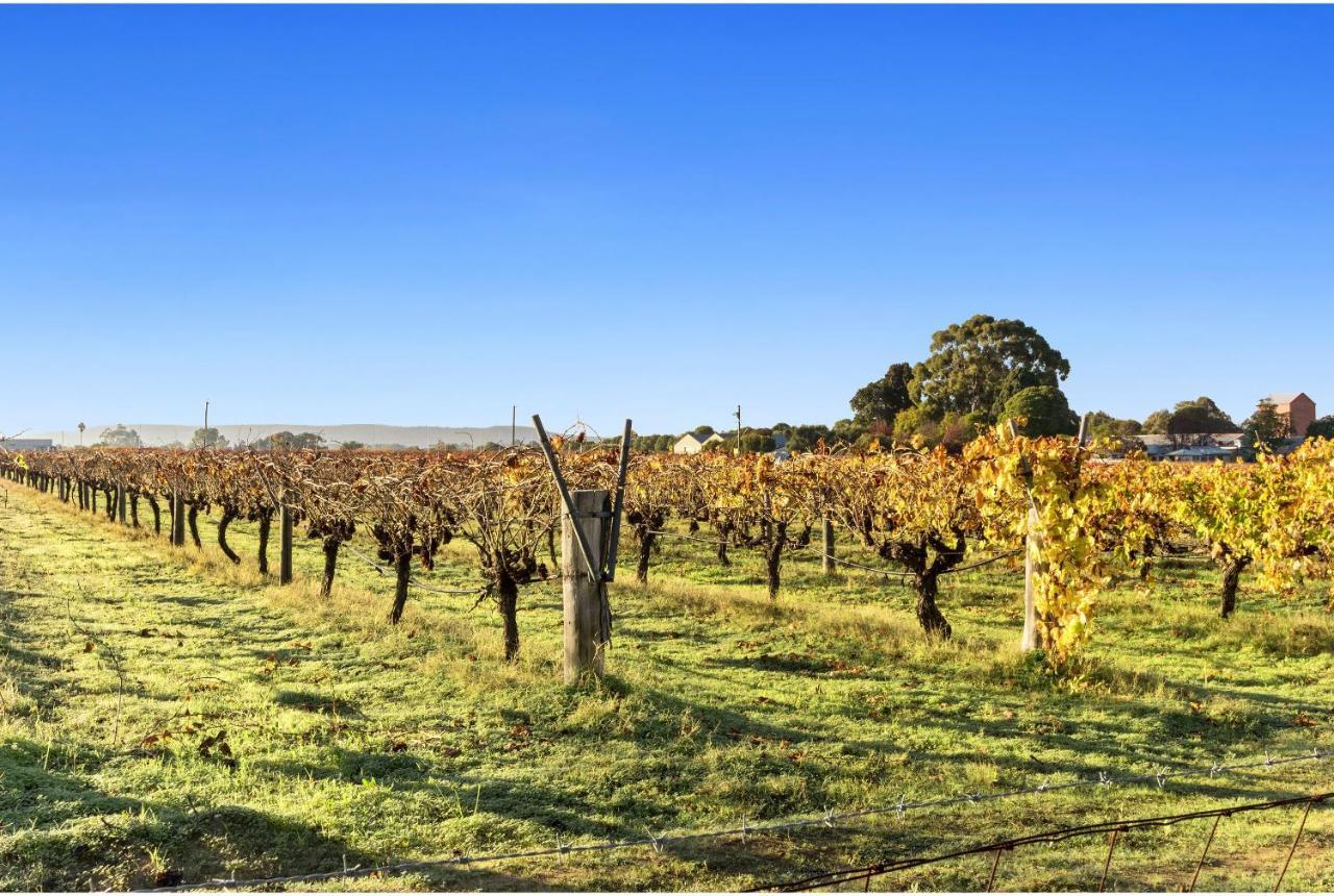 Discovery Parks - Swan Valley Caversham Экстерьер фото
